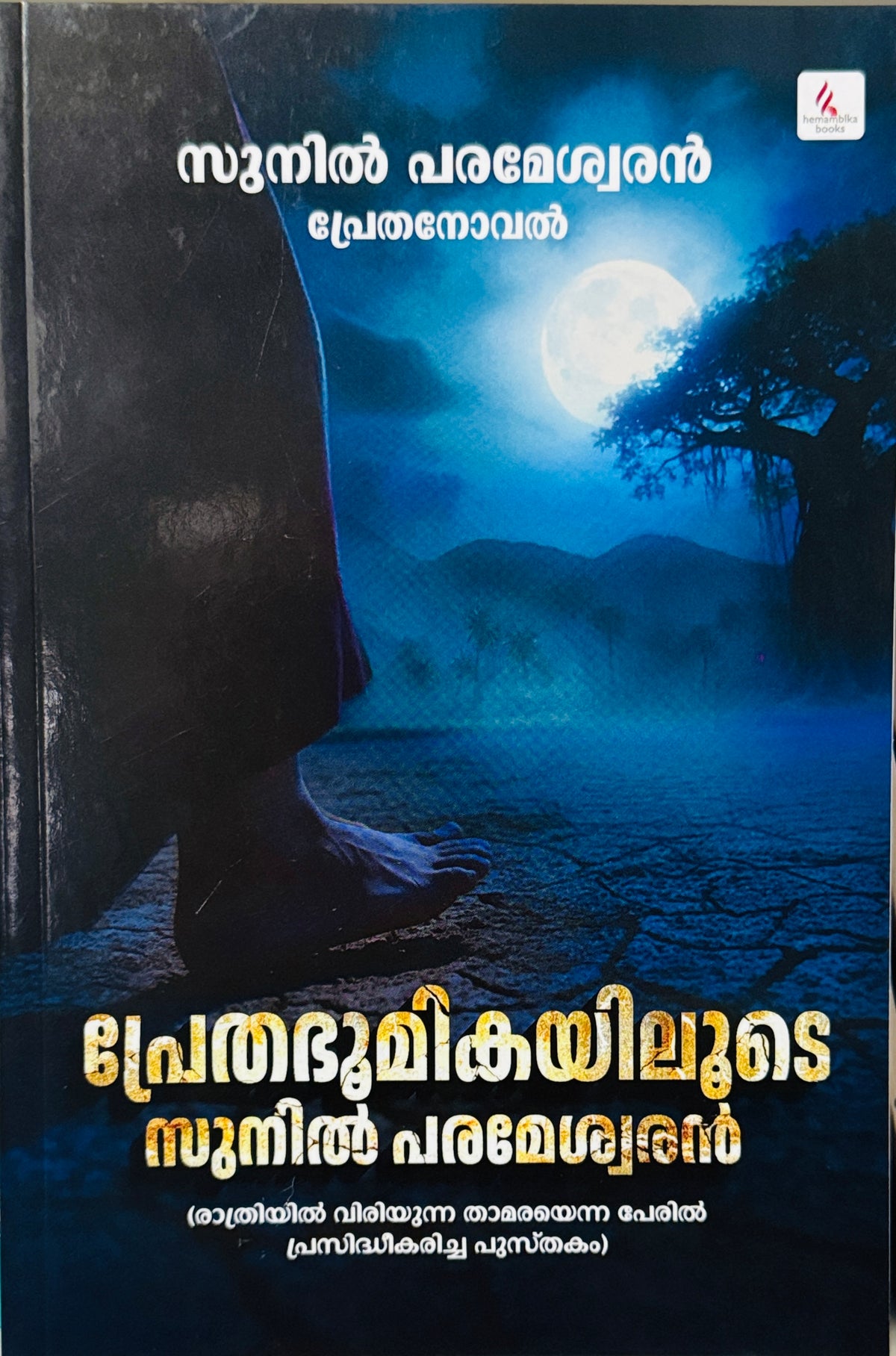 Prethabhoomiyilude Sunil Parameshwaran